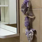 Apartman Res Cedro - Centro - Vav