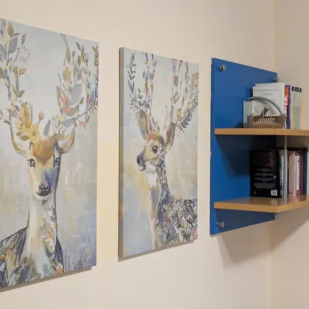 Apartman Res Cedro - Centro - Vav